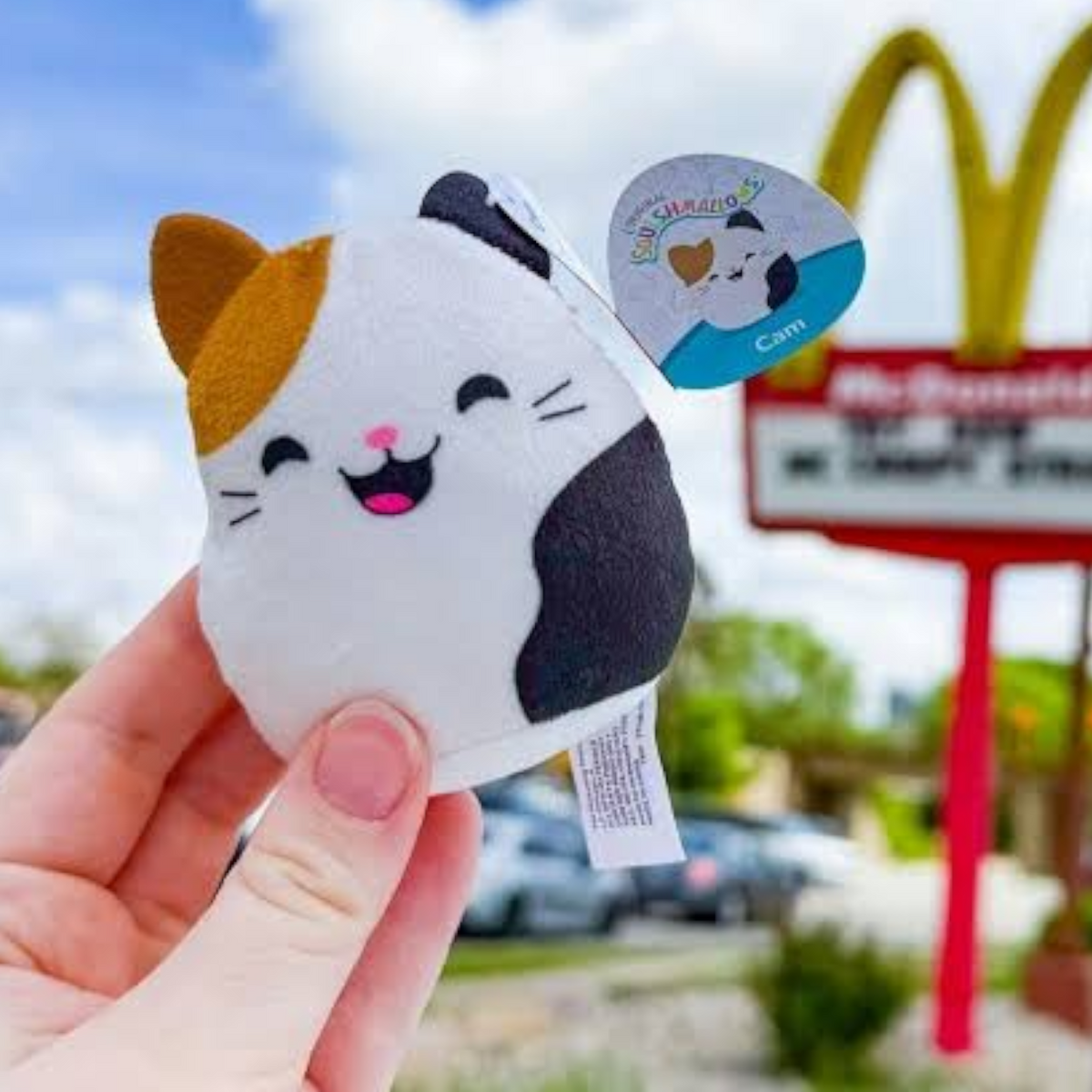 McDonald's Happy Meal Squishmallows Blind bag bolsa sorpresa año 2025