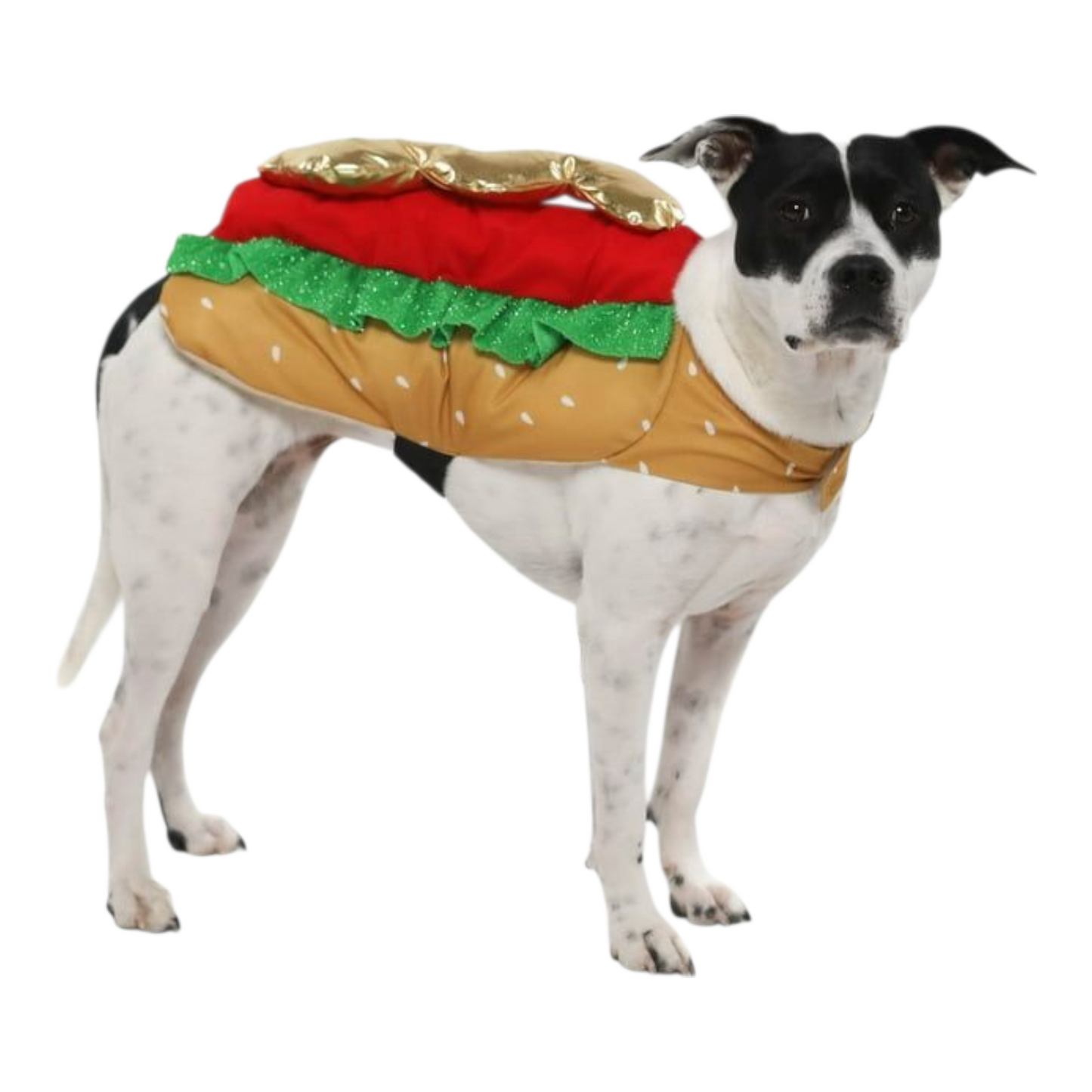 Disfraz para Mascota Gato/Perro 🐕🐩🐈🐈‍⬛ Hot Dog