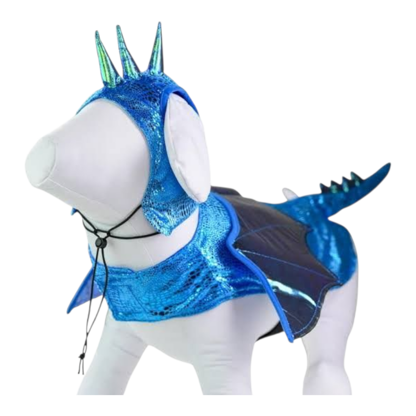 Disfraz para Mascota Gato/Perro 🐕🐩🐈🐈‍⬛ Dragon