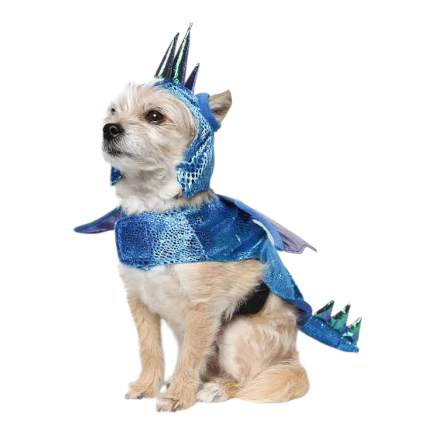 Disfraz para Mascota Gato/Perro 🐕🐩🐈🐈‍⬛ Dragon