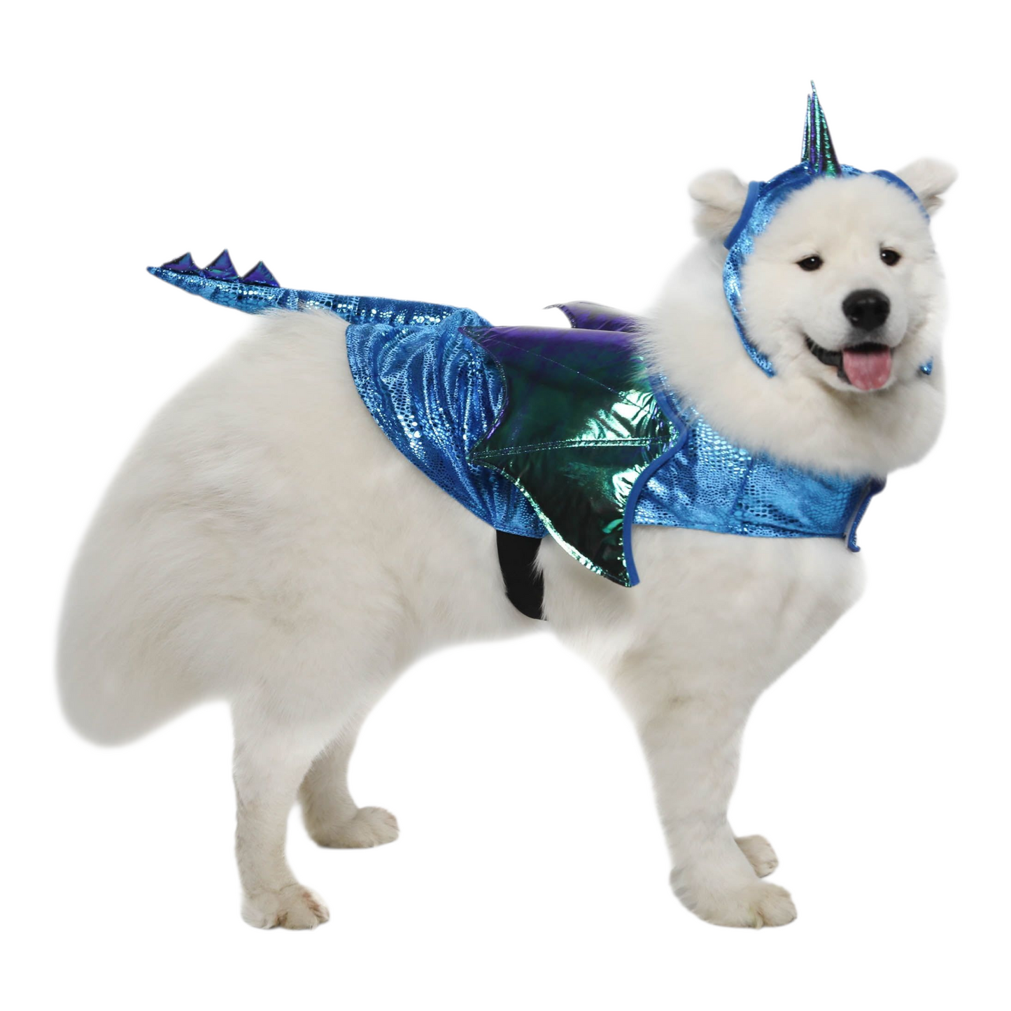 Disfraz para Mascota Gato/Perro 🐕🐩🐈🐈‍⬛ Dragon